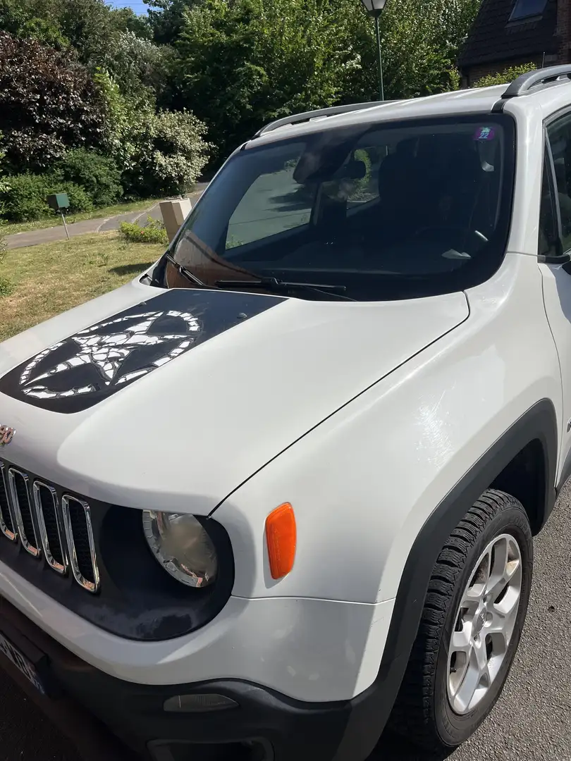 Jeep Renegade 2.0 I MultiJet S&S 120 ch 4x4 Winter Edition - 2