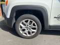 Jeep Renegade 2.0 I MultiJet S&S 120 ch 4x4 Winter Edition - thumbnail 6