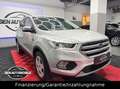 Ford Kuga 1.5 EcoBoost Cool & Connect *NAVI*LHZ*LED Zilver - thumbnail 1