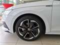 Skoda Octavia Combi 2.0 TSI 4x4 DSG Sportline LED|4xSHZ|Navi Blanco - thumbnail 8
