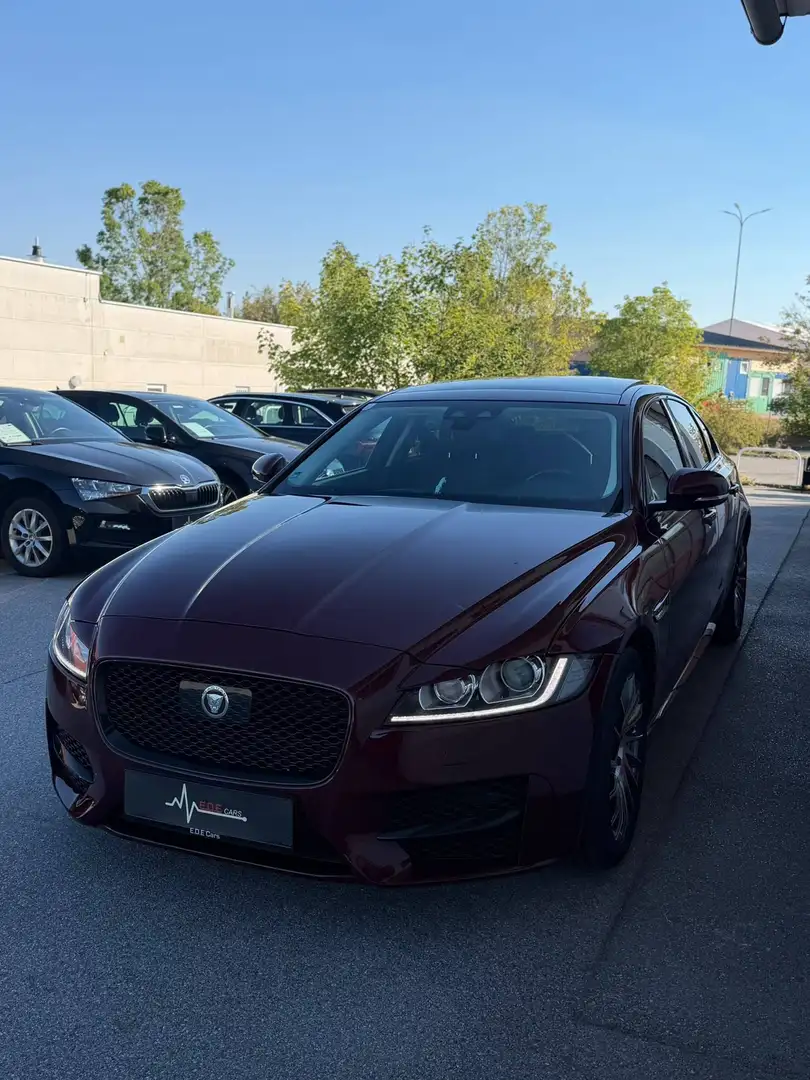 Jaguar XF 3.0 V6 Diesel R-Sport Aut. Rot - 2