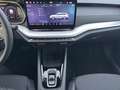 Skoda Octavia 1.5 TSI mHEV Selection AHK Kamera 110 kW Grau - thumbnail 19