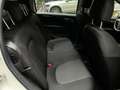 Fiat Punto Punto 5p 1.3 multijet VAN AUTOCARRO 4 posti Bianco - thumbnail 14