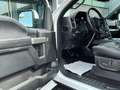 Ford F 150 V8 F 150 Supercrew XLT 4x4 Raptor 10G Weiß - thumbnail 11