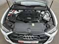 Audi A6 Avant 50 TDI quattro tiptronic advanced HUD Navi D Fehér - thumbnail 16