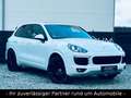 Porsche Cayenne S Diesel/LED/PANO/KAM/LEDER/APPROVED Wit - thumbnail 3
