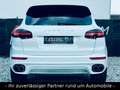 Porsche Cayenne S Diesel/LED/PANO/KAM/LEDER/APPROVED Wit - thumbnail 5