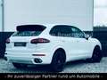 Porsche Cayenne S Diesel/LED/PANO/KAM/LEDER/APPROVED Weiß - thumbnail 6