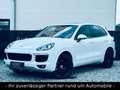 Porsche Cayenne S Diesel/LED/PANO/KAM/LEDER/APPROVED Weiß - thumbnail 1