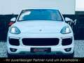 Porsche Cayenne S Diesel/LED/PANO/KAM/LEDER/APPROVED Wit - thumbnail 2