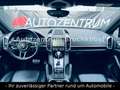 Porsche Cayenne S Diesel/LED/PANO/KAM/LEDER/APPROVED Wit - thumbnail 9