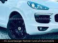 Porsche Cayenne S Diesel/LED/PANO/KAM/LEDER/APPROVED Wit - thumbnail 17