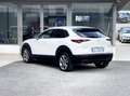 Mazda CX-30 2.0 Hybrid 150CV 2WD E6 - 2020 Blanco - thumbnail 4