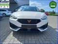 CUPRA Leon ST Hybrid Kamera ACC Travel Supersport AHK Biały - thumbnail 3
