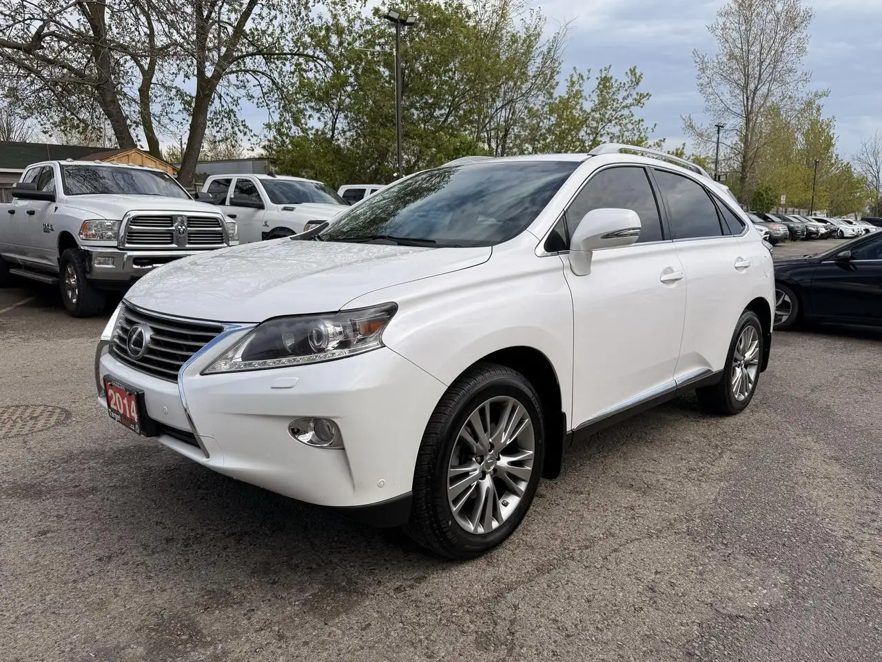Lexus RX photo Lexus RX