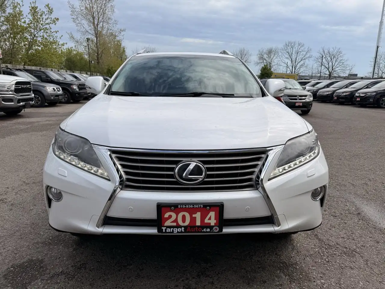 Lexus RX photo Lexus RX
