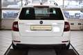 Skoda Octavia 1.8TSI Clever SHZ*LED*DAB*Tempomat*Navi Weiß - thumbnail 5