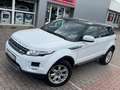 Land Rover Range Rover Evoque Pure Weiß - thumbnail 8