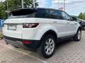 Land Rover Range Rover Evoque Pure Weiß - thumbnail 5