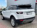 Land Rover Range Rover Evoque Pure Weiß - thumbnail 7