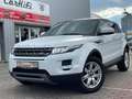 Land Rover Range Rover Evoque Pure Weiß - thumbnail 1