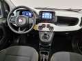 Fiat Panda 1.0 FireFly S&S Hybrid Pandina Giallo - thumbnail 6