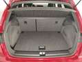SEAT Arona 1.0 TSI S&S FR XM 110 Rojo - thumbnail 7