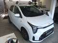 Kia Picanto 1.0 Vision Weiß - thumbnail 3