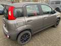 Fiat Panda Easy DAB-Alu-ReifenTüv/Oel/Zahnriemen neu-38Tkm Grau - thumbnail 6