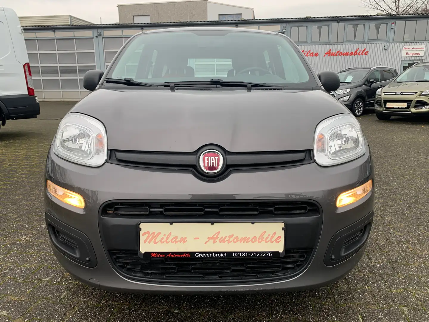 Fiat Panda Easy DAB-Alu-ReifenTüv/Oel/Zahnriemen neu-38Tkm Grau - 2