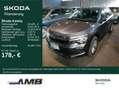 Skoda Kamiq Selection 1.0 TSI LED/Klima/Einparkhilfe Grau - thumbnail 1