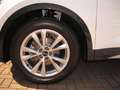 Audi Q3 Sportback 35 TFSI Stronic Business Plus Grigio - thumbnail 3