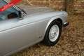 Daimler Double Six PRICE REDUCTION! Solid condition, runs beautifully Grijs - thumbnail 40