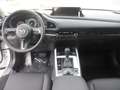 Mazda CX-30 /G140/AT/Exclusive Line Weiß - thumbnail 15