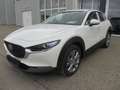 Mazda CX-30 /G140/AT/Exclusive Line Blanc - thumbnail 2