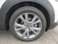 Mazda CX-30 /G140/AT/Exclusive Line Weiß - thumbnail 5
