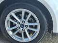 Ford Focus 1.5 TDCi 120 SW Business Navy Bianco - thumbnail 8