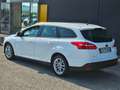 Ford Focus 1.5 TDCi 120 SW Business Navy Bianco - thumbnail 3