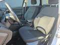 Ford Focus 1.5 TDCi 120 SW Business Navy Bianco - thumbnail 14