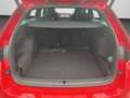Skoda Octavia Combi RS 2.0 TSI DSG PANO AHK CANTON Rot - thumbnail 15
