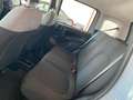 Fiat Panda 1.0 firefly hybrid 69Cv NEOPATENTATI Grigio - thumbnail 8