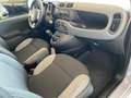 Fiat Panda 1.0 firefly hybrid 69Cv NEOPATENTATI Grigio - thumbnail 9