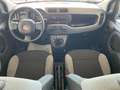 Fiat Panda 1.0 firefly hybrid 69Cv NEOPATENTATI Grigio - thumbnail 7
