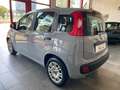 Fiat Panda 1.0 firefly hybrid 69Cv NEOPATENTATI Grigio - thumbnail 4
