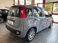 Fiat Panda 1.0 firefly hybrid 69Cv NEOPATENTATI Grigio - thumbnail 6