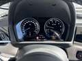 BMW X2 sDrive20i High Executive / M Sportpakket / Panoram Gris - thumbnail 17