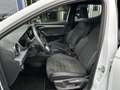 SEAT Ibiza Xcellence 1.0 TSI LED Klimaautomatik SHZ Parklenka Weiß - thumbnail 10