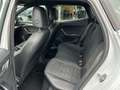 SEAT Ibiza Xcellence 1.0 TSI LED Klimaautomatik SHZ Parklenka Weiß - thumbnail 15
