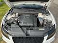 Audi A5 Sportback 2.0 tdi 143cv multitronic Bianco - thumbnail 8