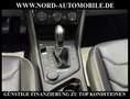 Volkswagen Tiguan Highline 4MOT 2.0 TDI DSG Leder/AHK/StHz/ Highline Schwarz - thumbnail 19
